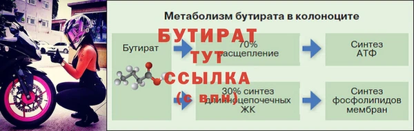 амф Гусев