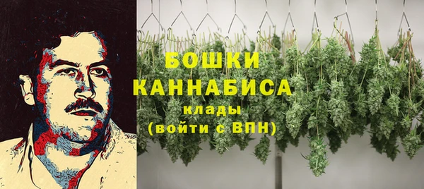 амф Гусев