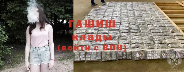 шишки Горно-Алтайск