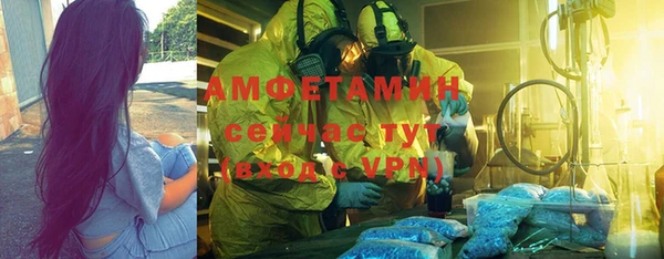 амф Гусев