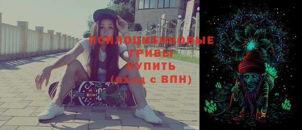 марки lsd Гусь-Хрустальный