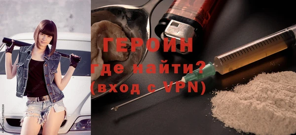 амф Гусев