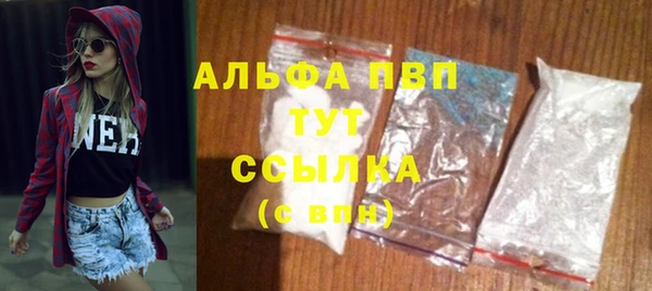 амф Гусев