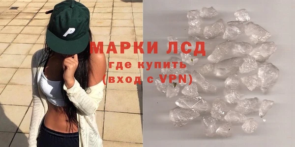 амф Гусев